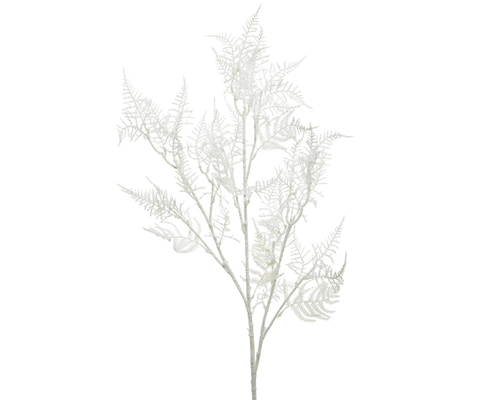 Kaemingk Branch Asparagus On Stem White