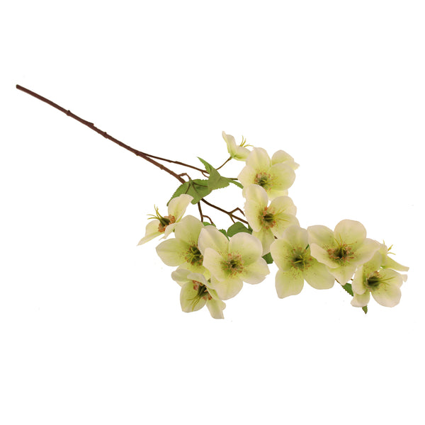 SDR 70cm Christmas Rose