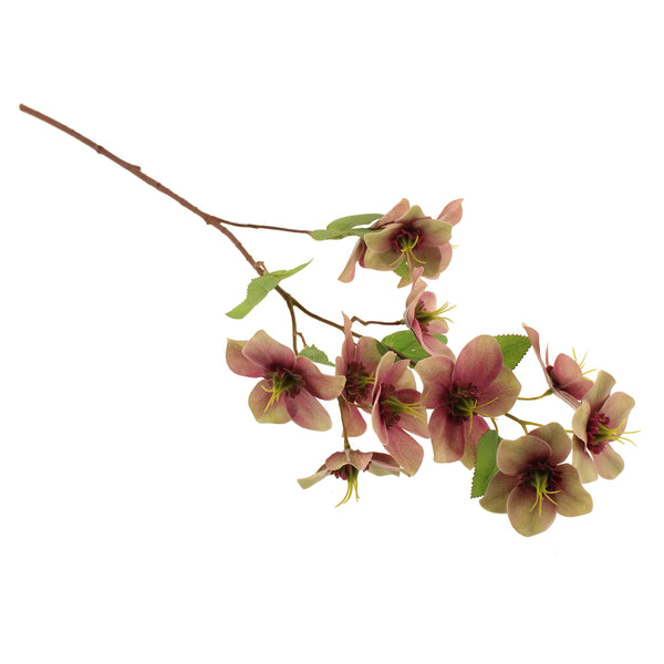 SDR 70cm Christmas Rose