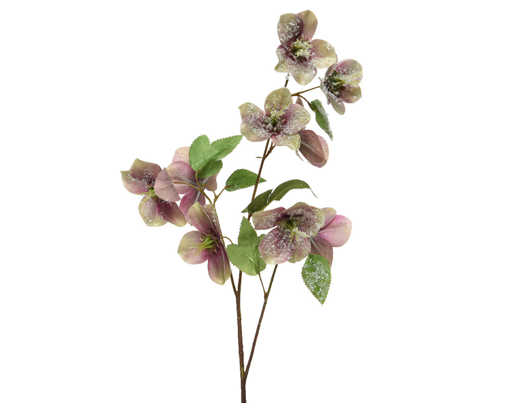 Kaemingk Spray Purple Helleborus On Stem With Snow Finish