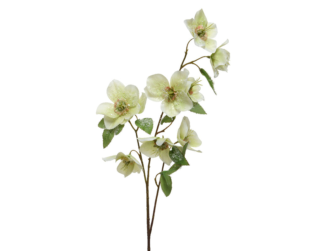 Kaemingk Spray White Helleborus On Stem With Snow Finish