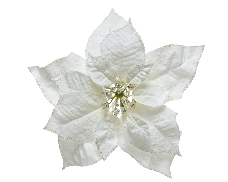 Kaemingk Poinsettia On Clip With Glitter White