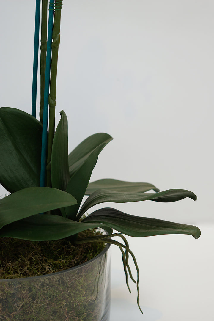 Deluxe Silk Orchid Arrangement