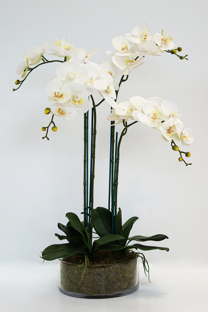 Everlasting Artificial 4 Stem Orchid