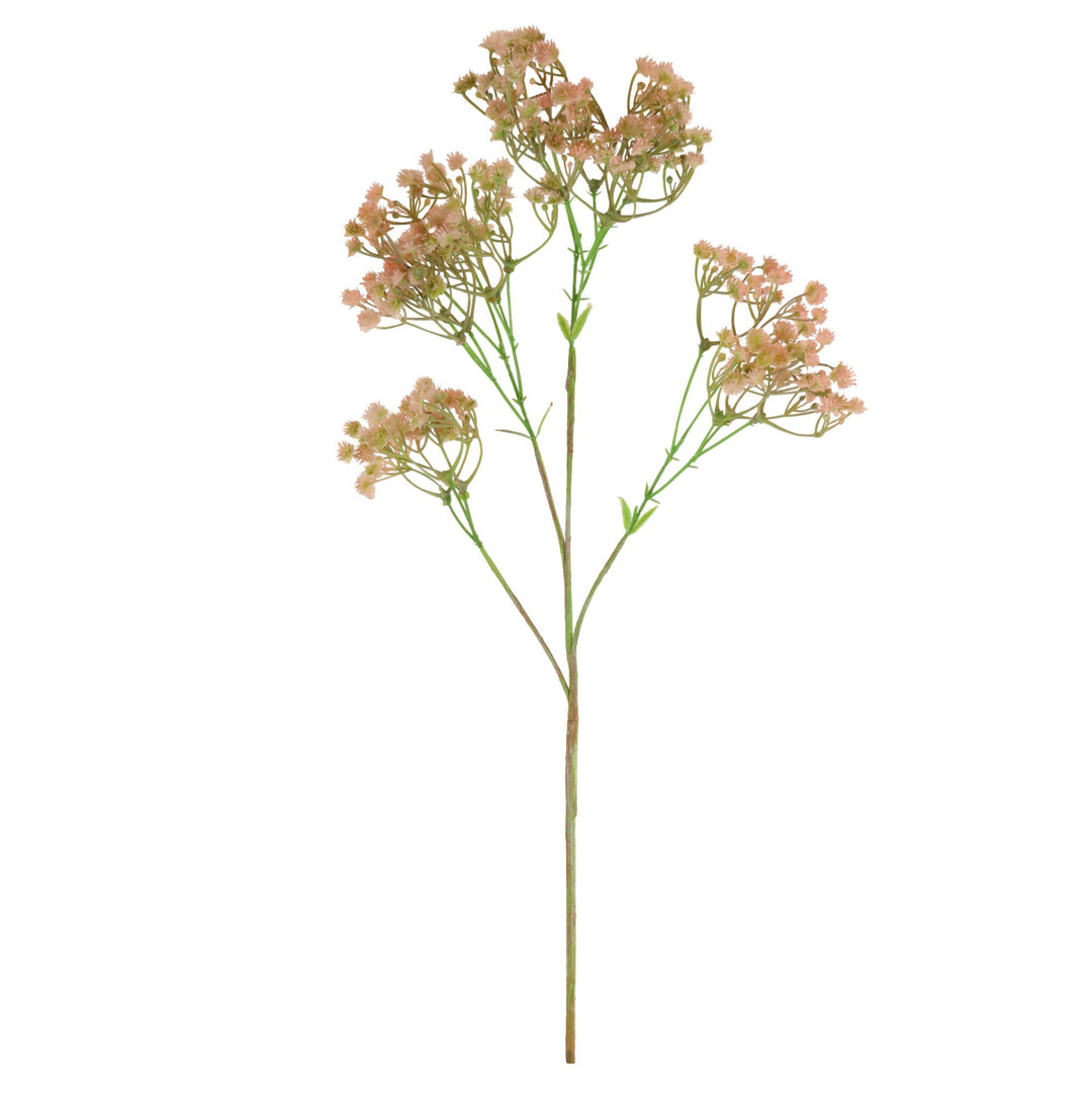 Lotus Imports Plastic Dried Look Gyp Spray Dusty Pink