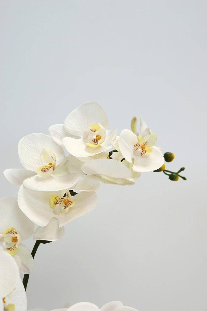 Everlasting Artificial 4 Stem Orchid