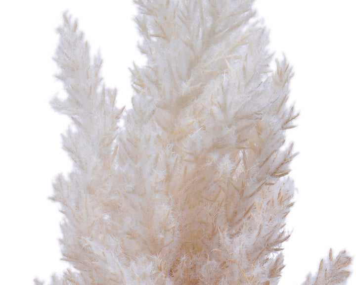 Kaemingk Pampas Grass Plume On Plastic Stem