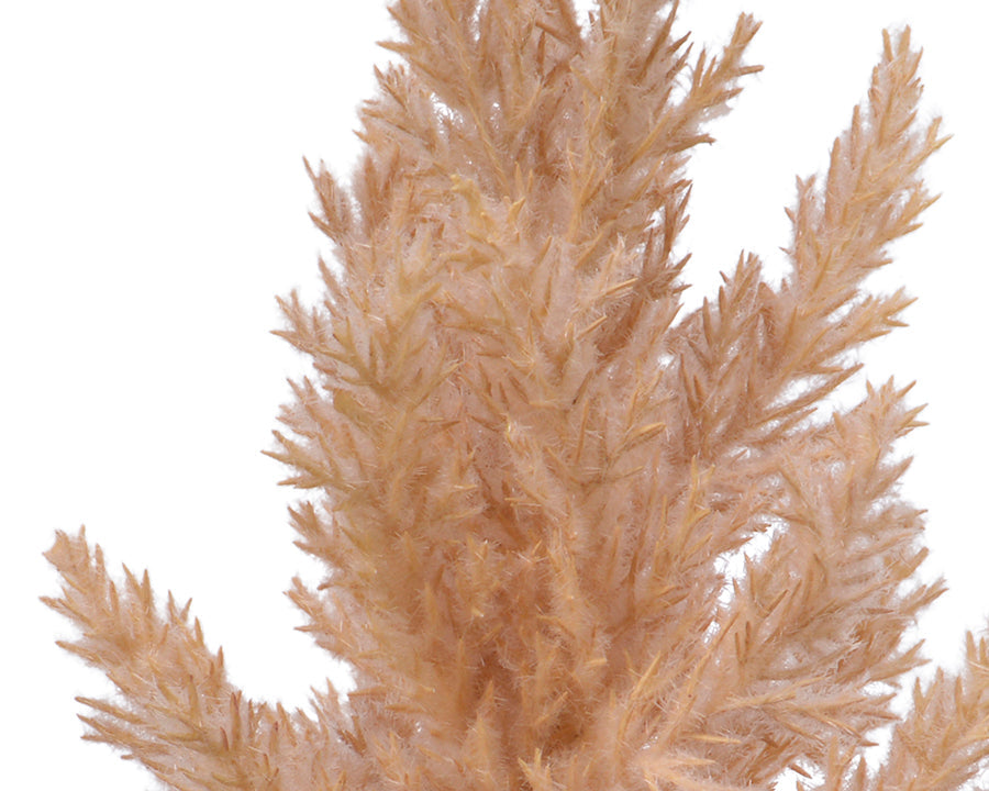Kaemingk Pampas Grass On Plastic Stem