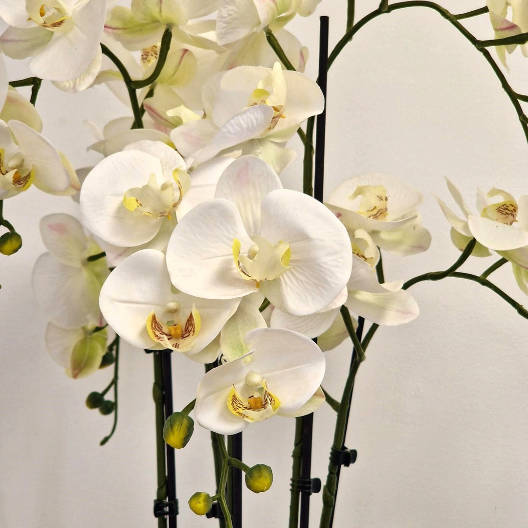 Everlasting Artificial 5 Stem Orchid