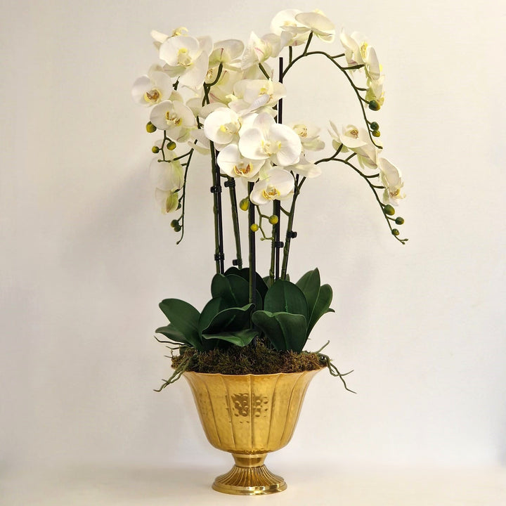 Everlasting Artificial 5 Stem Orchid
