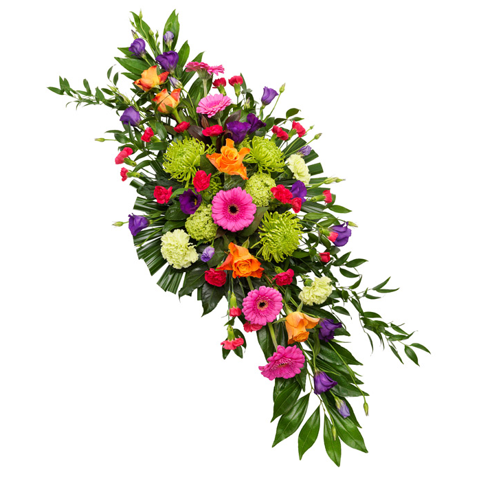 Vibrant Double Spray