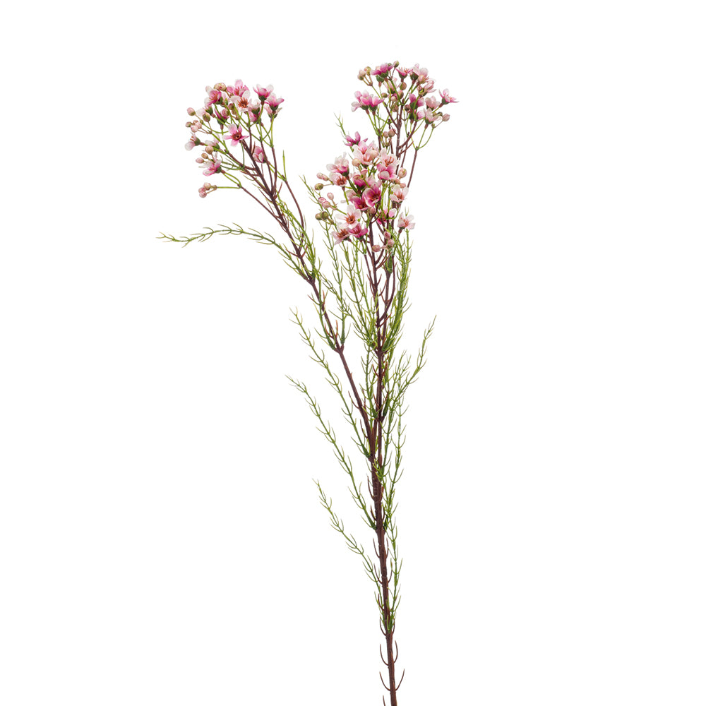 Emerald Wax Flower Spray X3 78cm Pink