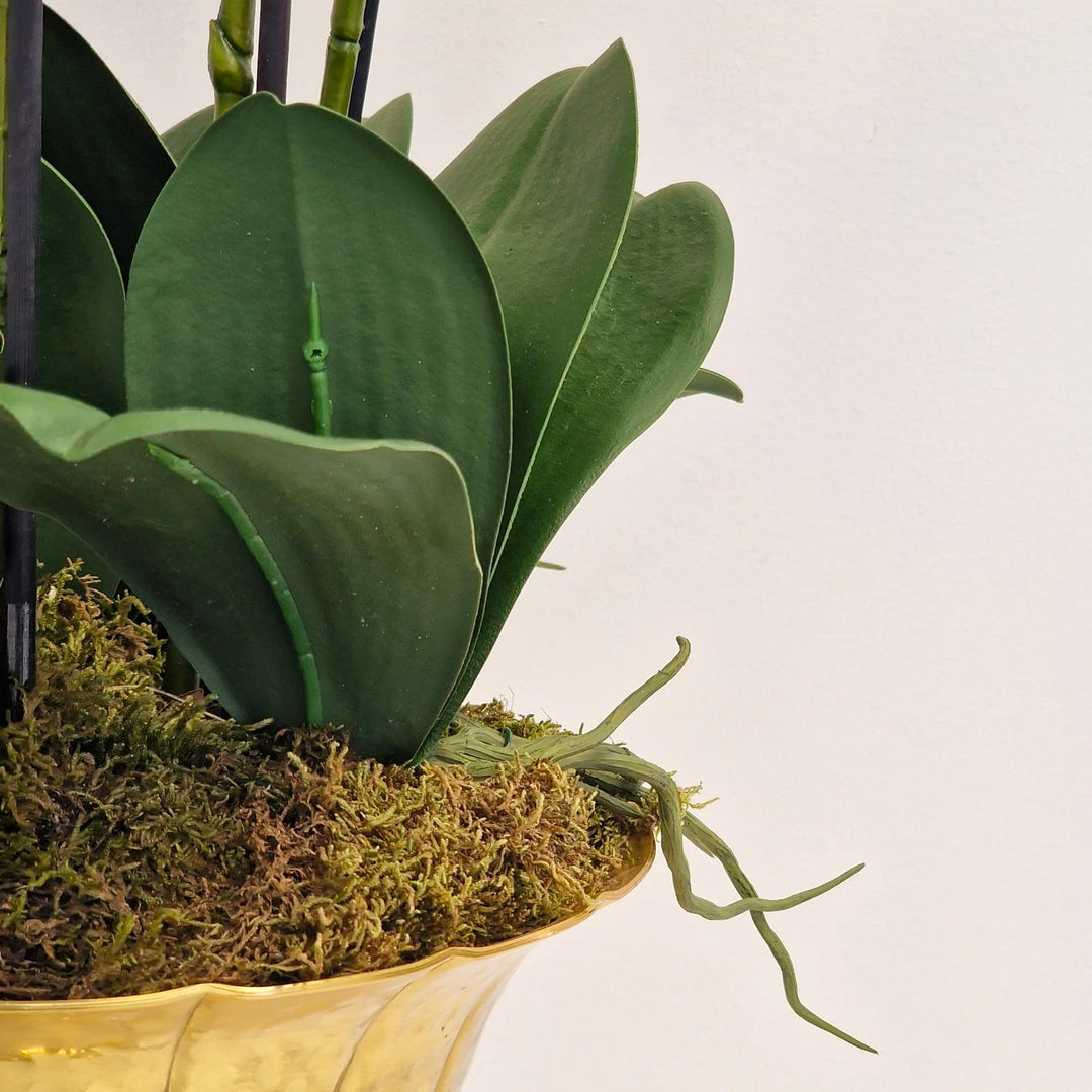 Everlasting Artificial 5 Stem Orchid