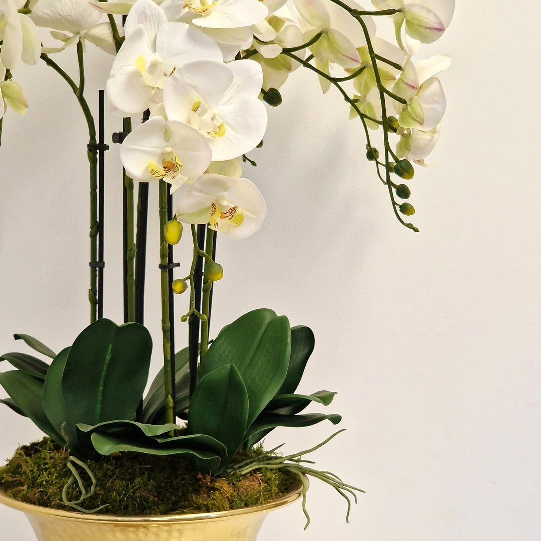 Everlasting Artificial 6 Stem Orchid