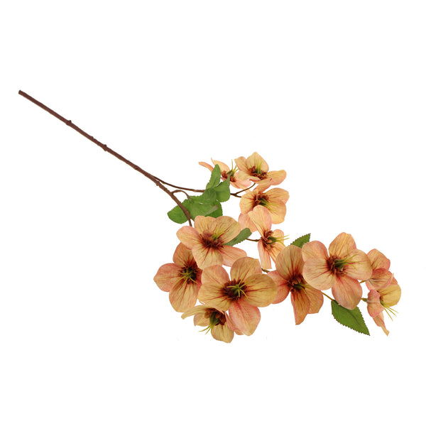 SDR 70cm Christmas Rose