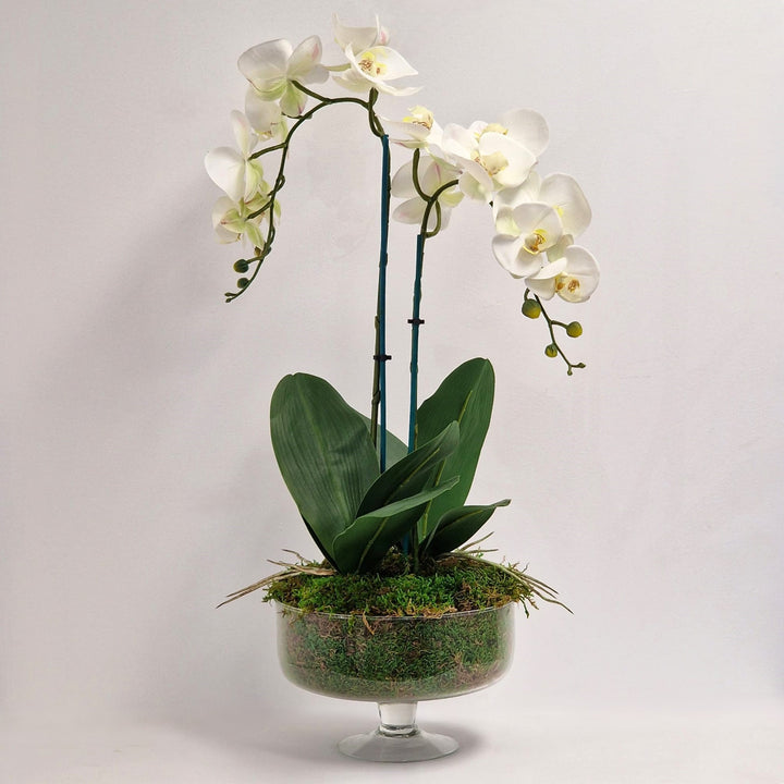 Everlasting Artificial 2 Stem Orchid