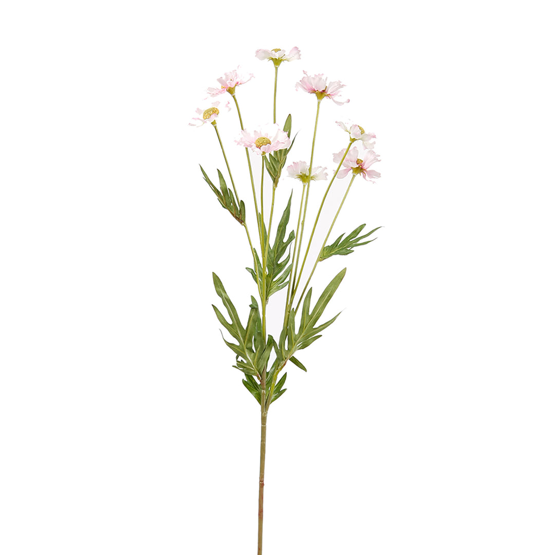 Emerald Daisy Wild Spray x8 75cm Lt Pink
