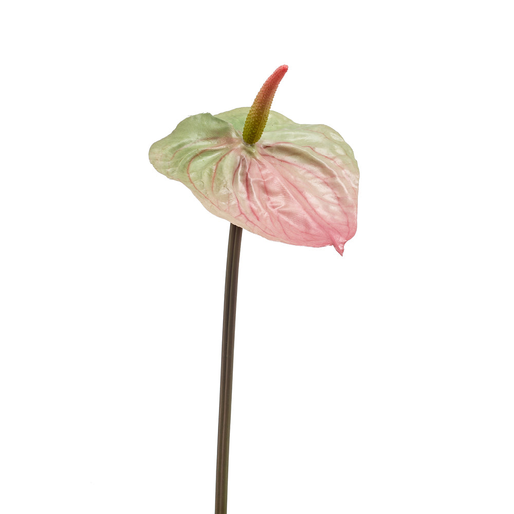 EEG Anthurium Spray Green/Pink 65cm