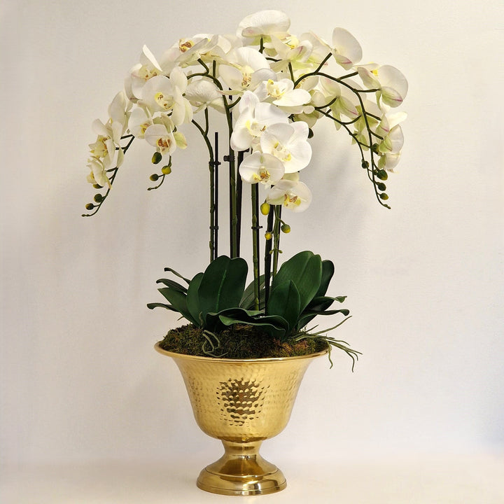 Everlasting Artificial 6 Stem Orchid