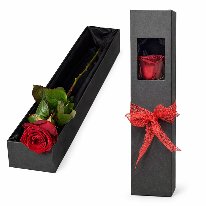 Special Set 1 - Bear, Flower and Chocolate