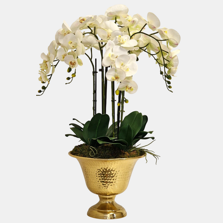 Everlasting Artificial 6 Stem Orchid