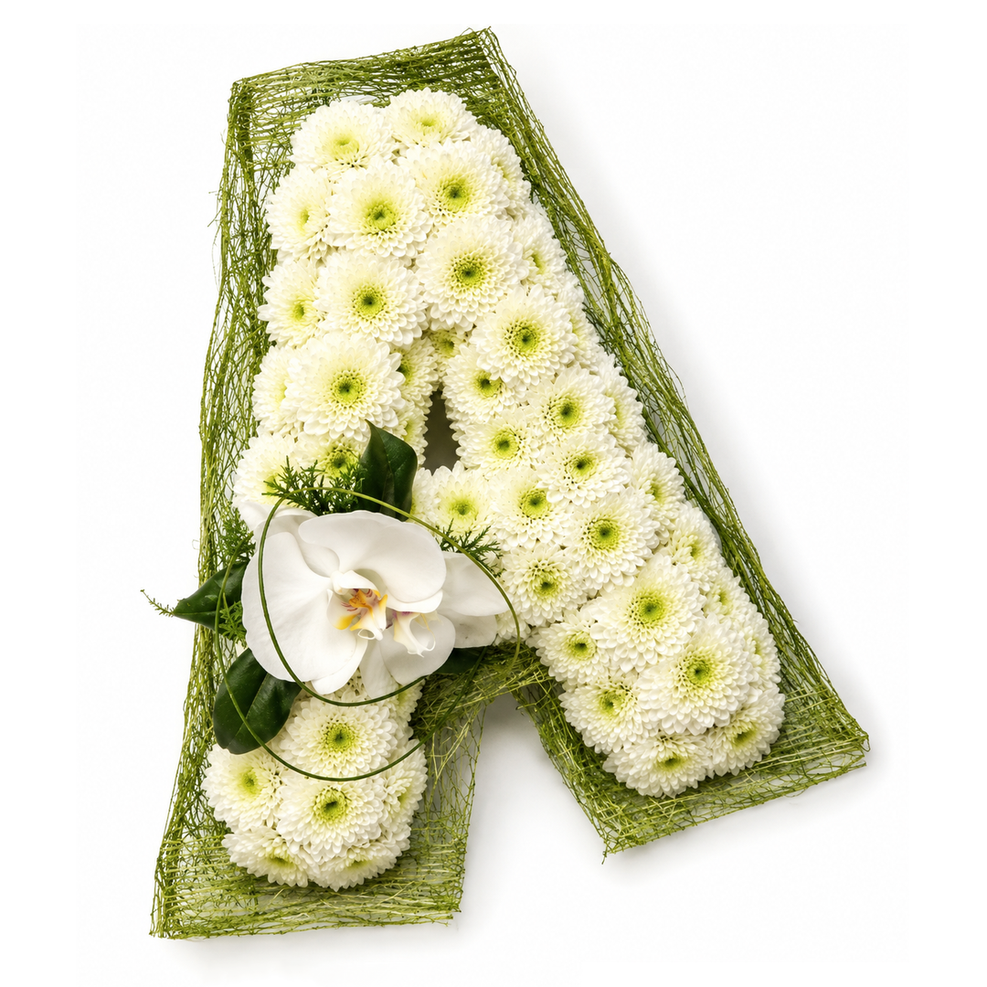 Letter Orchid