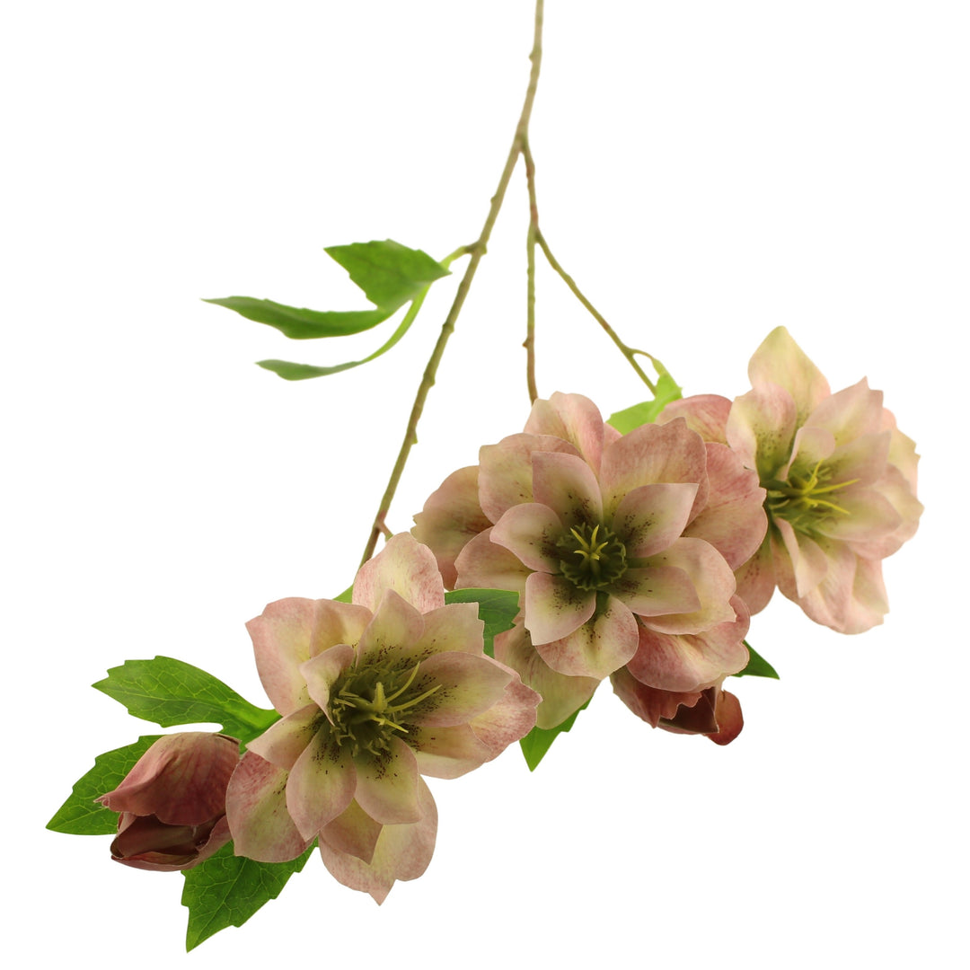 Sage Décor Ashwood Hellebore Spray 64Cm