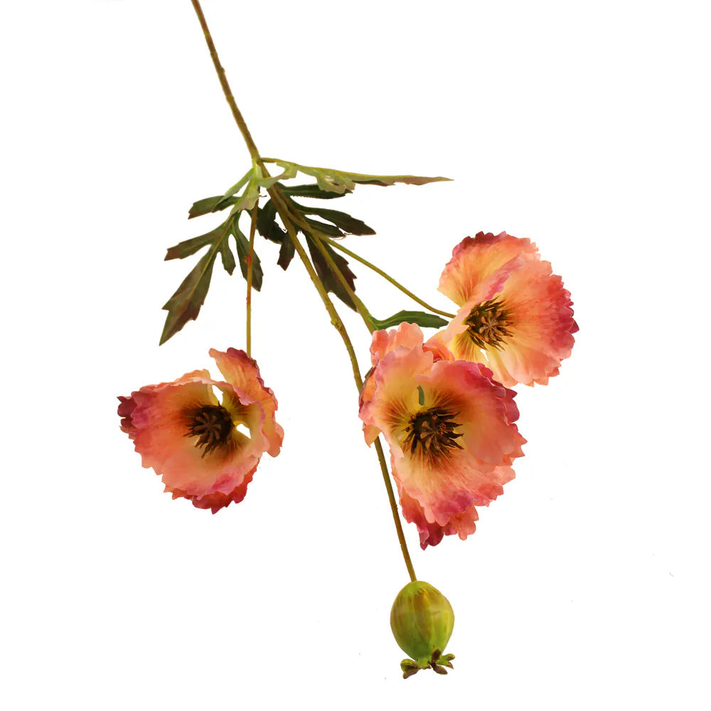 Sage Decor Shirley Poppy 70cm - Pale Pink