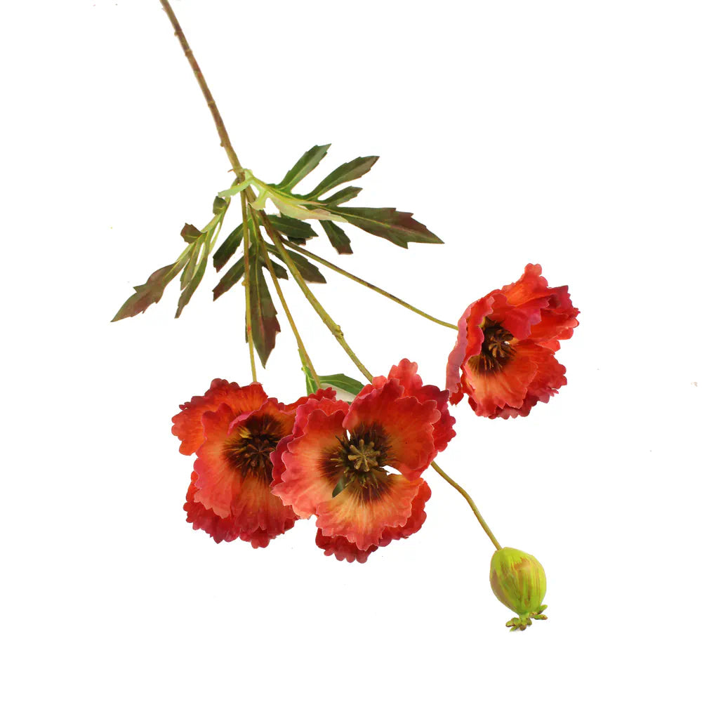 Sage Decor Shirley Poppy 70cm - Salmon