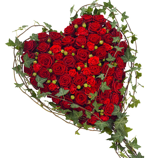 Red Rose Heart