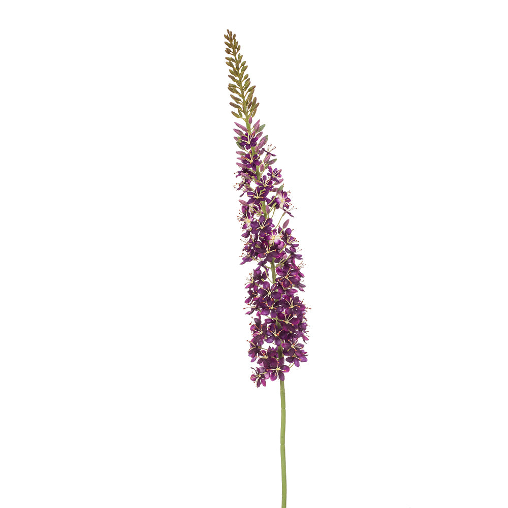 Emerald Eremurus Spray XL Purple 130cm