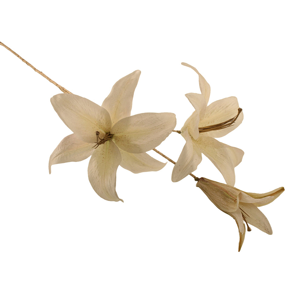 sage lily flower Sage Decor Sparkle Lily Spray (80cm) – U-Floria