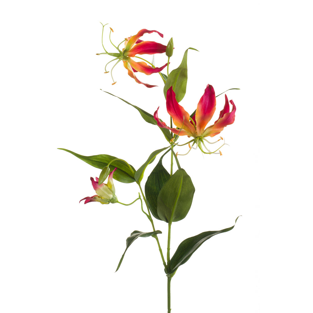Emerald Gloriosa Spray 75cm