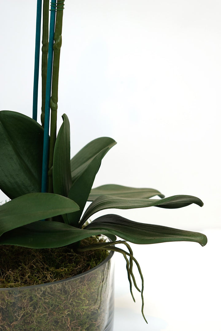 Everlasting Artificial 4 Stem Orchid