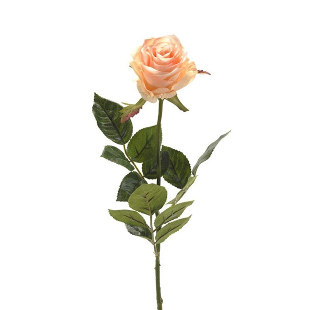 Emerald Rose Simone Peach 73cm