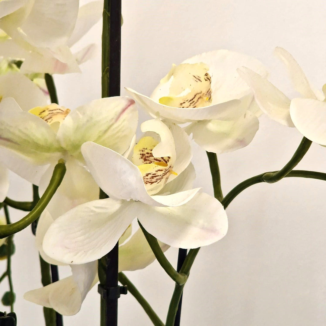 Everlasting Artificial 5 Stem Orchid