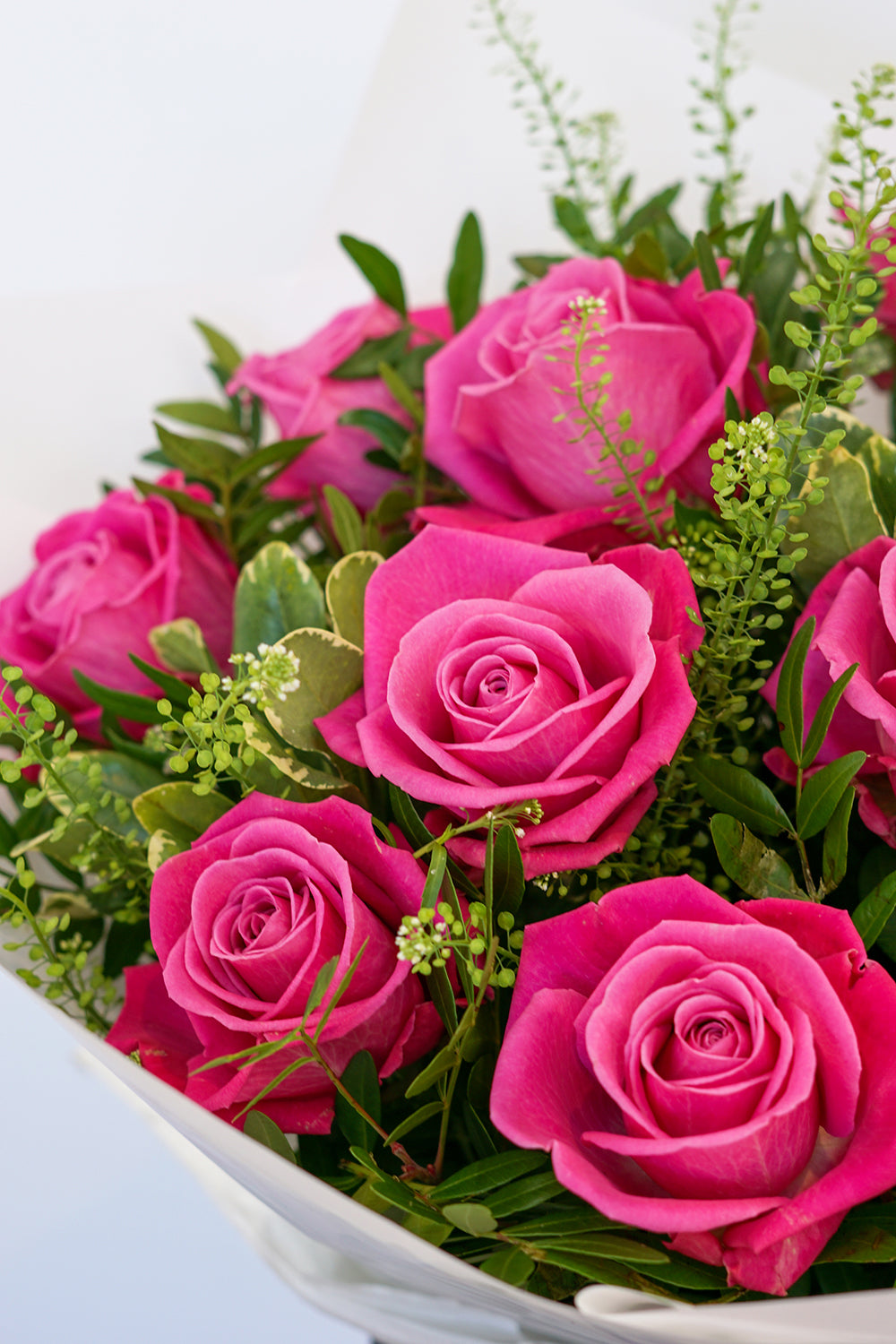 PINK ROSES