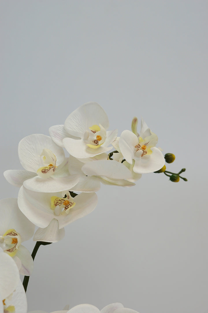 Deluxe Silk Orchid Arrangement